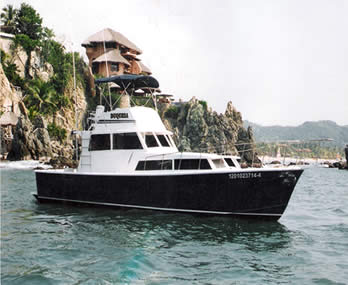 boat - sportfishing