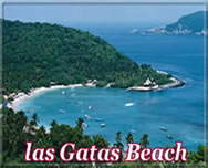 las gatas zihuatanejo