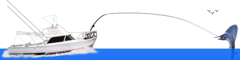sport fishing